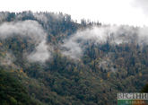 В Грузии горит гора Бангуриани