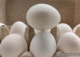 Производство яиц в России приблизится к 50 млрд штук в год