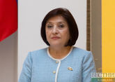 Гафарова: Азербайджан поддерживает желание Армении по изменению конституции