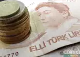 Турецкая лира рухнула к доллару и евро