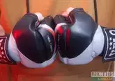 Нурмагомедов выступит на турнире UFC в Саудовской Аравии