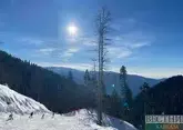 Лавины угрожают туристам в горах Сочи
