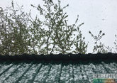 Аномальный холод и снег ожидаются в Москве на этой неделе