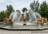 В Алматы поползли слухи об эпидемии менингита 