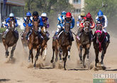 Лучших скакунов выявили в Дагестане 