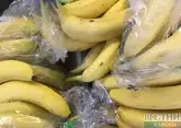 В Казахстане начали выращивать турецкие бананы