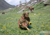 Дагестан попал в лидеры по грантам на агротуризм