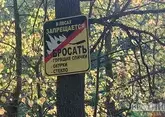 Правила посещения леса ужесточили в Карачаево-Черкесии