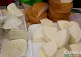 Завод по производству сыра появится в Ингушетии