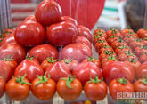 Фестиваль томатов скоро пройдет в Минводах