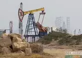 Иран будет разрабатывать свои новые нефтяные месторождения