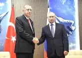 Путин и Эрдоган могут провести встречу в Астане