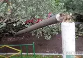 Упавшее дерево оставило без газа пять сел в Дагестане