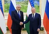 Глава МВД России и президент Узбекистана обсудили вопрос мигрантов
