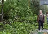 Ураган повредил дома и повалил деревья в Армении
