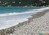 Море в Абхазии прогрелось до рекордных значений