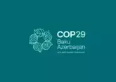 Азербайджан будет выдавать &quot;Специальные визы COP29&quot;