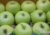 Новое фруктохранилище в КБР обеспечит магазинам тысячи тонн свежих яблок
