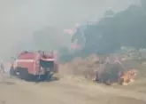 На Кубани разгорается сильный лесной пожар 