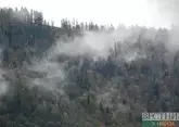 Лесной пожар унес жизни трех человек на западе Турции