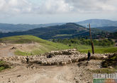 Земли отгонного животноводства обеспечат пунктами медицинской помощи в Дагестане