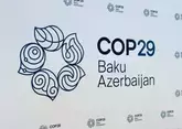 COP29 станет мостом между Глобальным Югом и Глобальным Севером