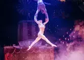 Гимнастка сорвалась с высоты в цирке Кисловодска