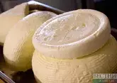 Адыгейский сыр представят на осеннем фестивале в регионе производства 