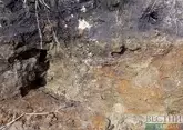 Скелет древнего человека обнаружили в грузинской пещере Бонди