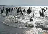 Экологи оценили состояние пляжей Сочи