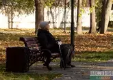Сколько пенсионеров старше 100 лет проживает в Азербайджане?