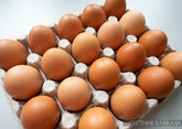 Северная Осетия нарастила производство яиц 