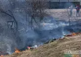 Сухая трава продолжает тлеть в ущелье около Домбая