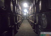 Дербентский завод нарастил производство игристых вин на 43%
