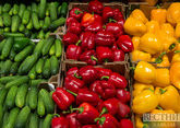 Свежих овощей из Дагестана будет больше
