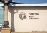 На COP29 будет принято 60 совместных документов