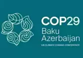 COP29: что это такое, кто участвует и в чем его важность?