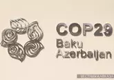 Чем запомнилась первая неделя COP29 в Баку?