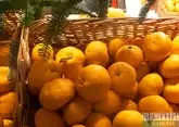 Абхазия идет на рекорд по поставкам мандаринов в Россию