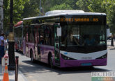 Автобусов в Баку станет больше в 2025 году