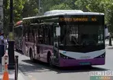 Автобусов в Баку станет больше в 2025 году