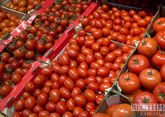 Россия приняла больше азербайджанских помидоров в 2024 году