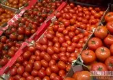 Россия приняла больше азербайджанских помидоров в 2024 году
