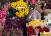 Ярмарки цветов начнут радовать жителей Ставрополя с 6 марта