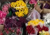 Ярмарки цветов начнут радовать жителей Ставрополя с 6 марта