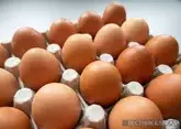 Азербайджан готовится поставлять яйца в США