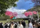 Фестиваль цветения сакуры с размахом прошел в Тбилиси