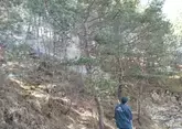 Более 400 человек тушат крупные природные пожары в горах Дагестана