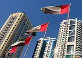 В России заявили о росте товарооборота с Эмиратами