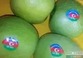 Россия закупает у Азербайджана яблоки &quot;органик&quot;